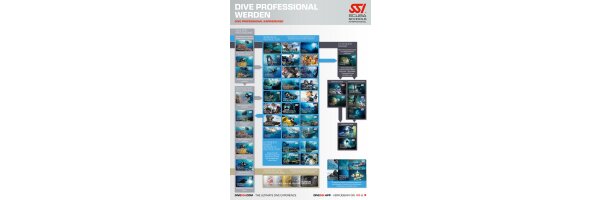 DIVE PROFESSIONAL