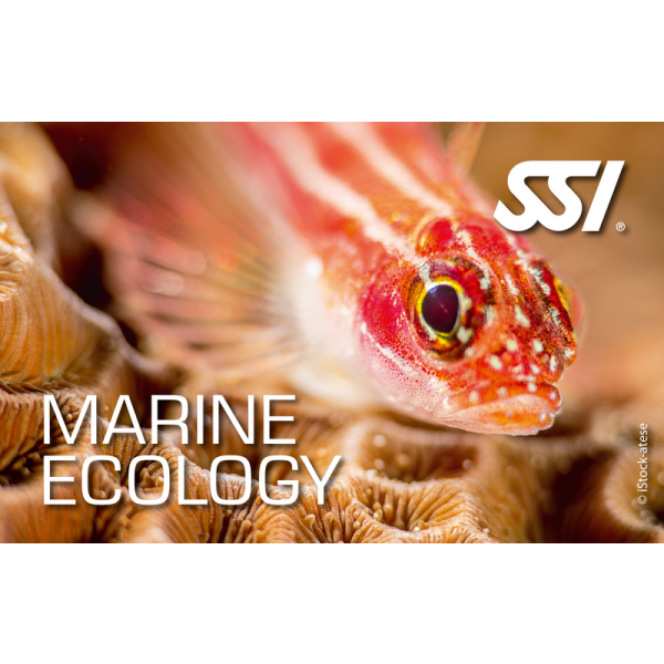 SSI MARINE ECOLOGY - digital Kit - Onlinekurs
