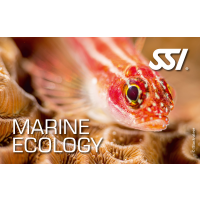 SSI MARINE ECOLOGY - Onlinekurs