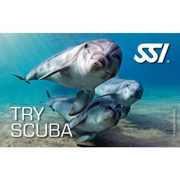 Gutschein Try Scuba