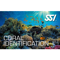 SSI CORAL IDENTIFICATION - Onlinekurs