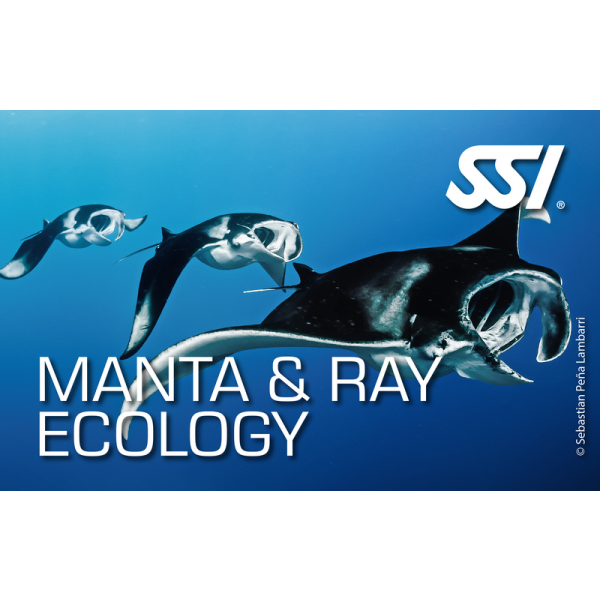 SSI MANTA & RAY ECOLOGY - digital Kit - Onlinekurs