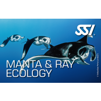 SSI MANTA & RAY ECOLOGY - digital Kit - Onlinekurs