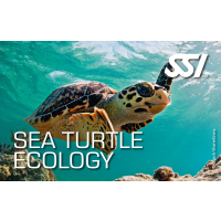 SSI SEA TURTLE ECOLOGY - digital Kit - Onlinekurs