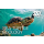 SSI SEA TURTLE ECOLOGY - digital Kit - Onlinekurs