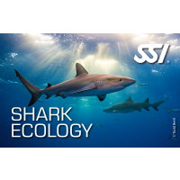 SSI SHARK ECOLOGY - digital Kit - Onlinekurs