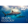 SSI SHARK ECOLOGY - Onlinekurs