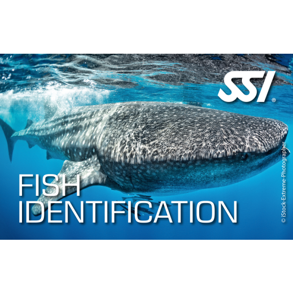 SSI FISH IDENTIFICATION - digital Kit - Onlinekurs