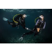 SSI NIGHT DIVING AND LIMITED VISIBILITY Digital Kit