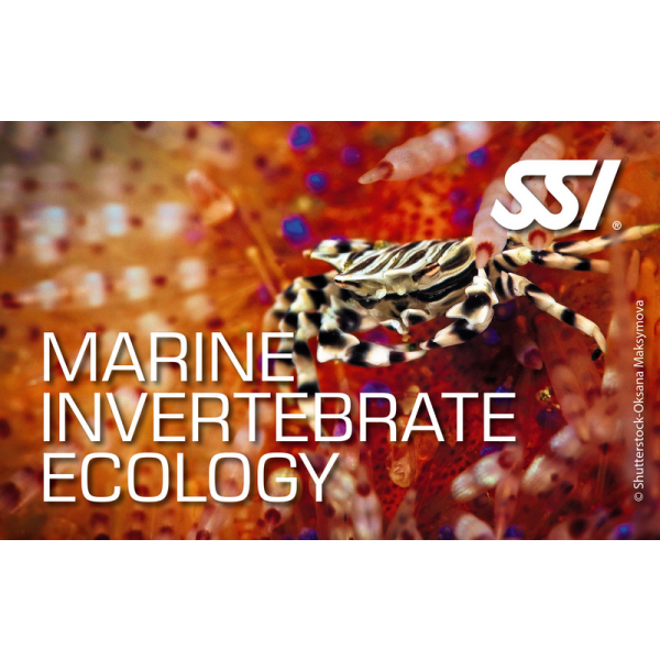 SSI MARINE INVERTEBRATE ECOLOGY - Onlinekurs