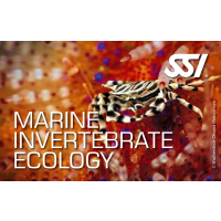 SSI MARINE INVERTEBRATE ECOLOGY - Onlinekurs