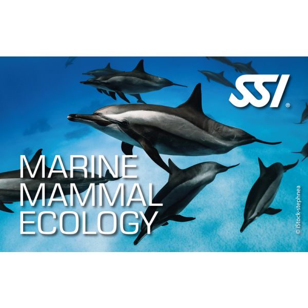 SSI MARINE MAMMAL ECOLOGY - digital Kit - Onlinekurs