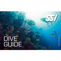 SSI DIVE GUIDE Digital Kit